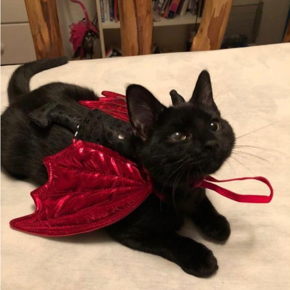 PLEASE take this stuff off my hands!